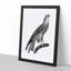 Black Kite Illustration - Picture Frame Art Print-55512402-55512403