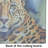 Leopard Glass Cutting Board Large