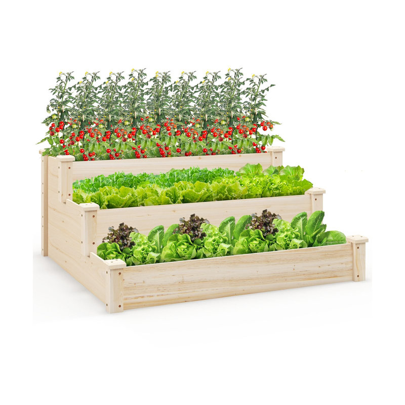 Raised Garden Bed