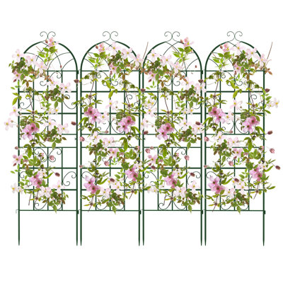 180 cm W Arched Trellis
