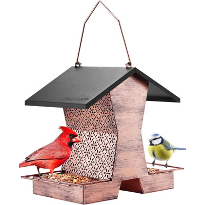Hanging Hopper And Suet Bird Feeder