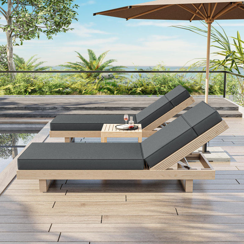 Wynee Outdoor 4'' Chaise Lounge Cushion, 25.8" W x 79.75" D, Light Gray