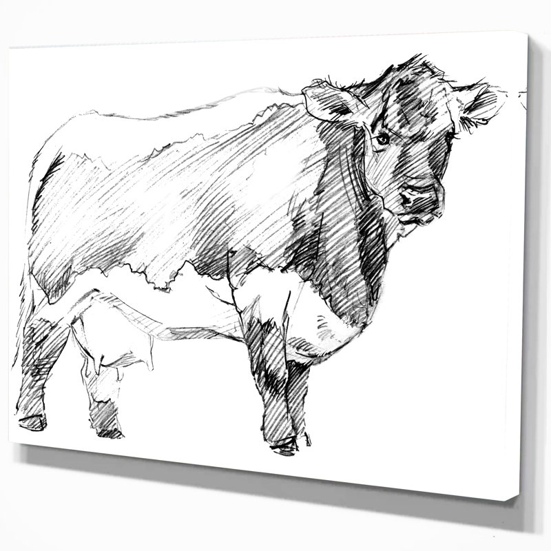 " Hand Drawn Dairy Cow ", 12" H x 20" W x 1" D, Wrapped Canvas