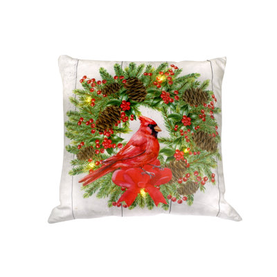 Housse de coussin carré en velours
