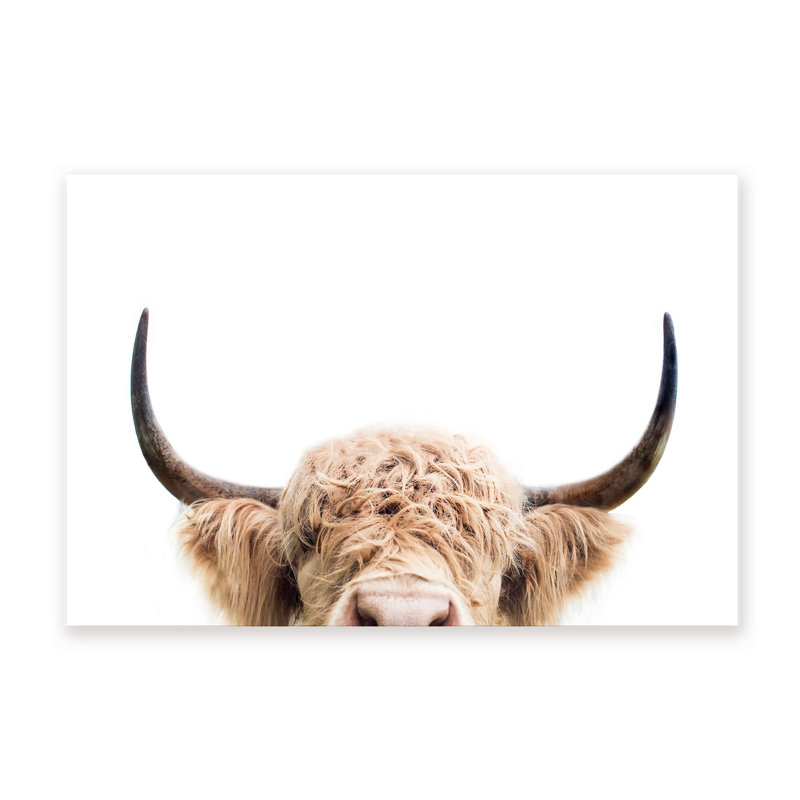 Nature Inspired Peeking Cow by - Picture Frame Photograph on Paper, 24" H x 36" W x 1.5" D, Wrapped Canvas, Does Not Apply