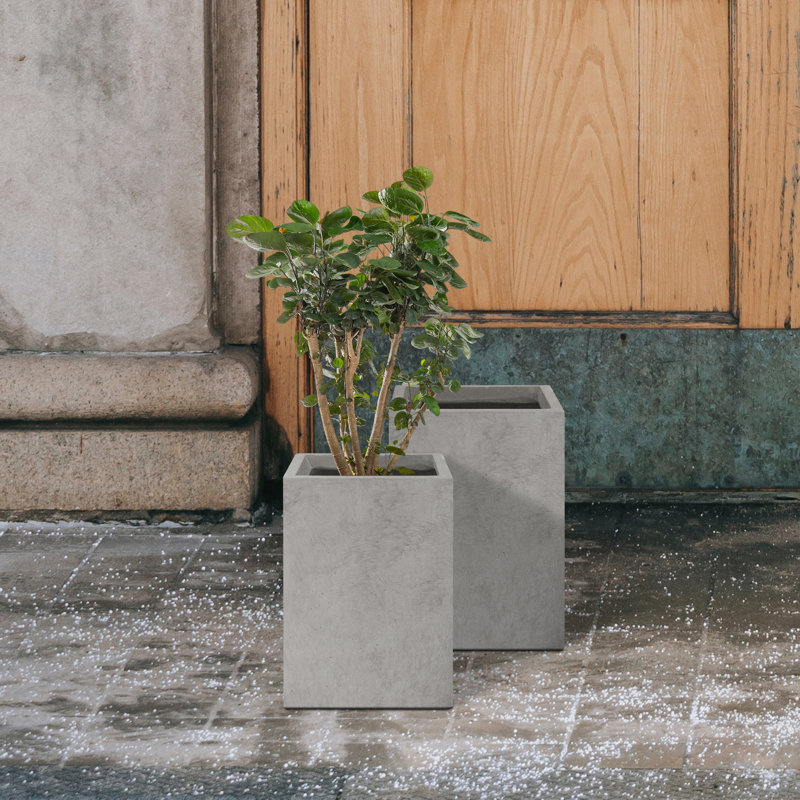 Pot à fleurs en béton, Gris neutre