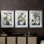 FLORAL Series DCLVII - Impression encadrée sur mesure de qualité supérieure - 3 pièces-334182056-334182057