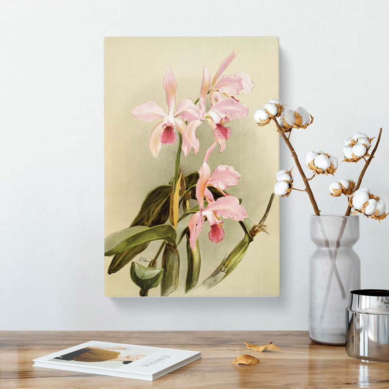 Magnolia Flowers Illustration Tab. 85 by Frederick Sander - Wrapped Canvas, 60cm H x 40cm W x 3cm D