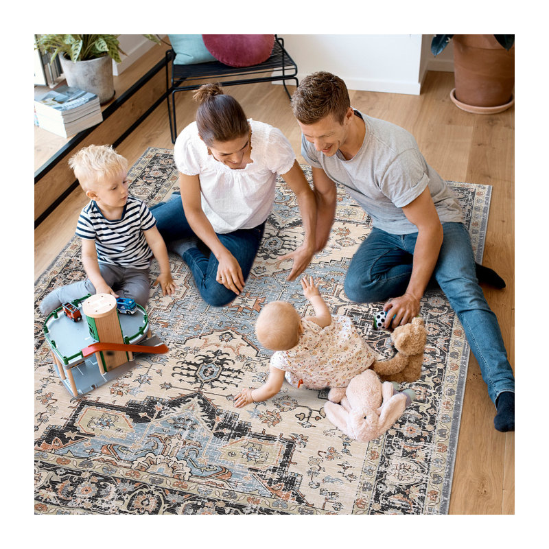 Barni Washable Oriental Indoor Rug, Rectangle 2' x 3'