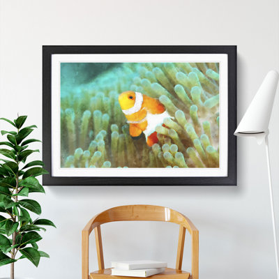 Clownfish Vol.1 - Picture Frame Graphic Art