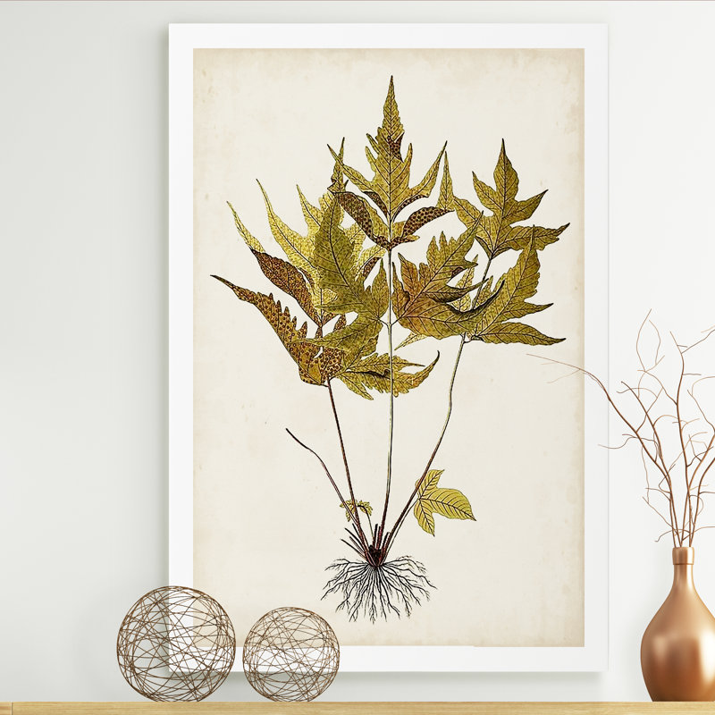 Fern Botanical II - reproduction sur toile, H 48 po x l 36 po x P 1 po, Toile tendue