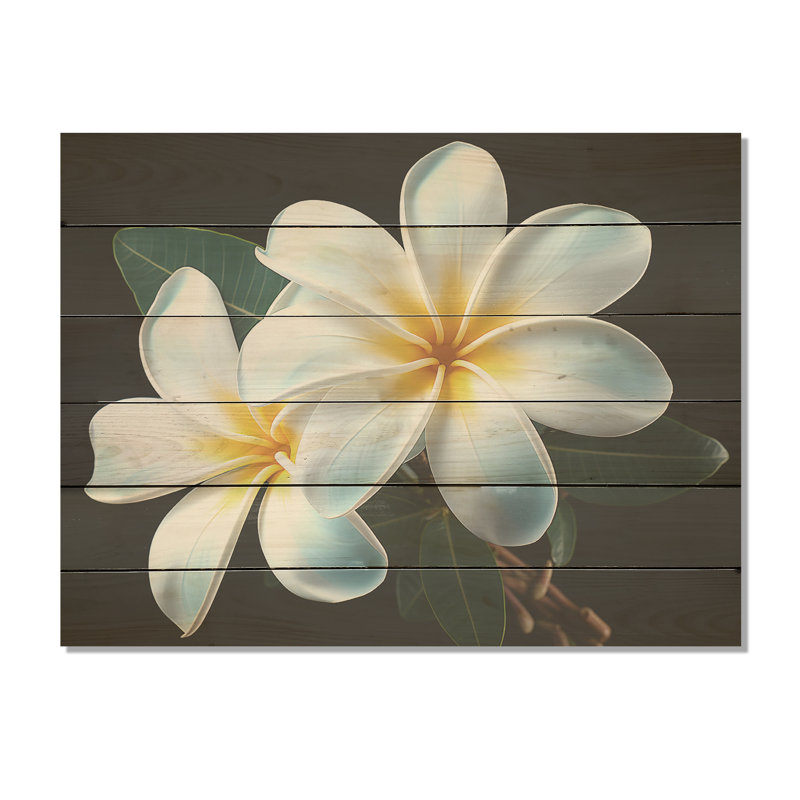 Plumeria charmante élégance I - Plumeria, art sur bois de pin naturel, H 10 po x l 20 po