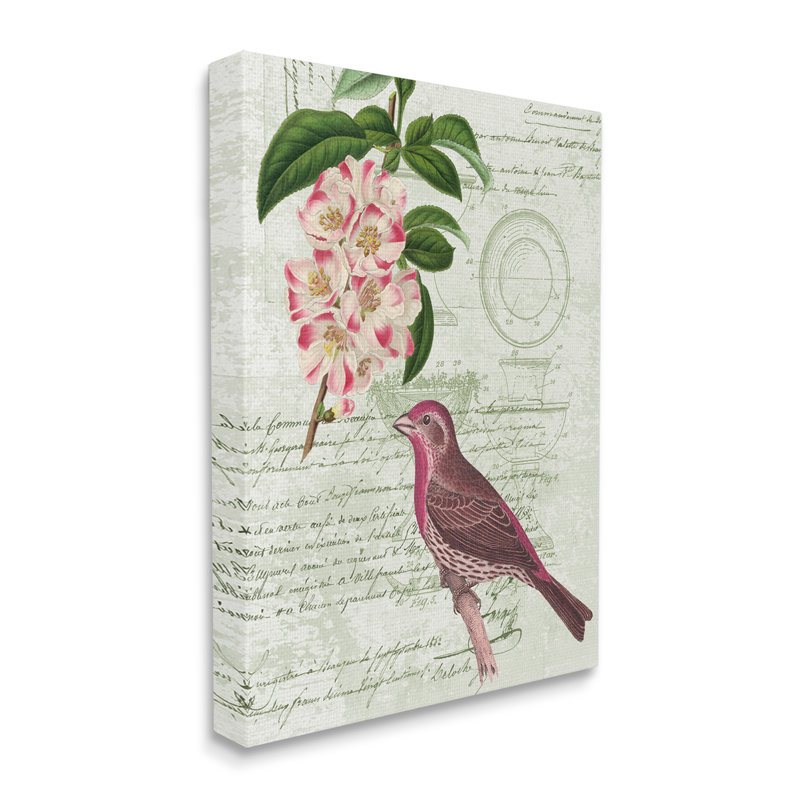 Rosier pinson par Daphne Polselli, Toile tendue, H 30 po x l 24 po x P 1,5 po