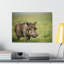 Wall Art on Canvas-223026310