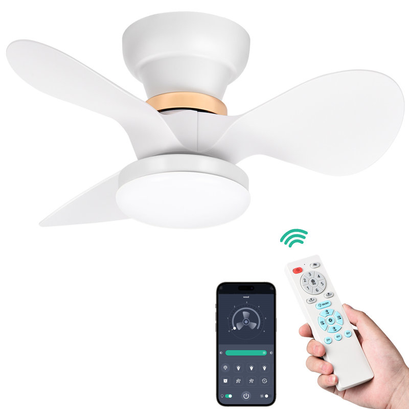 24" Flush Mount Ceiling Fan with Dimmable LED Light, 3 Reversible Blades, 6 Speeds, Remote Control, Modern Low Profile Ceiling Fan for Bedroom, Living Room, Kitchen & Low Ceilings