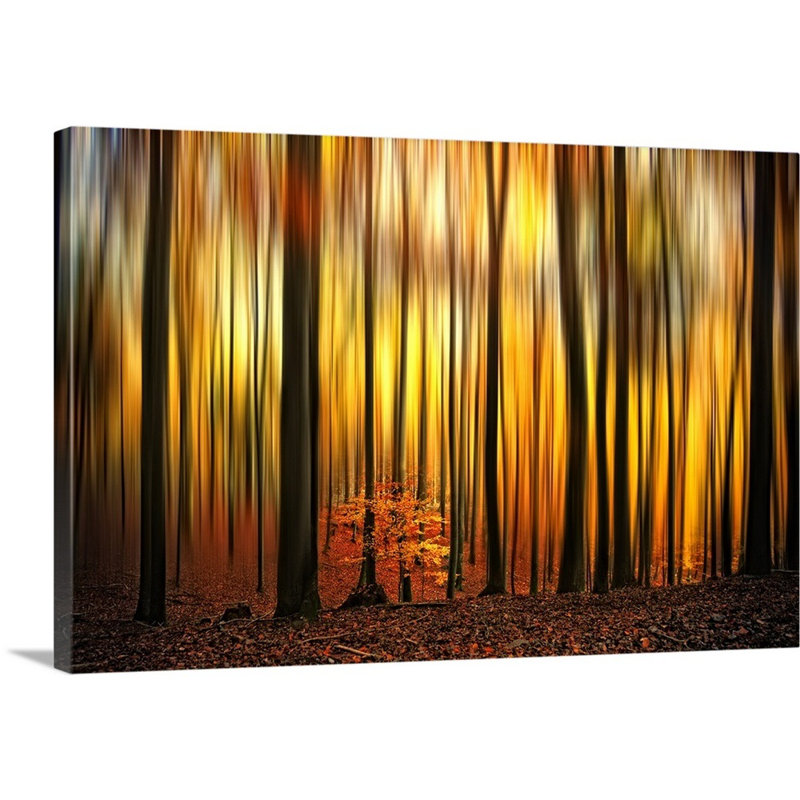 Pare-feu par Philippe Sainte-Laudy - impression sur toile, H 12 po x l 18 po x P 1,5 po
