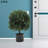 2 - Piece Artificial Evergreen Tree in Pot Set