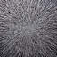 Peyote Radiance