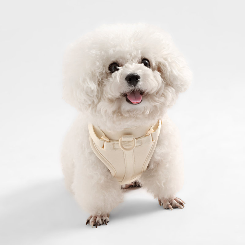 Harnais pour animal de compagnie Arlo, Amande