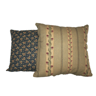  Decorative 2 Piece Indoor/Outdoor Cotton Throw Pillow
