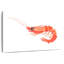 Brampt crevette orange-108880517