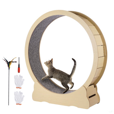 Roue d'exercice pour chat, roue de course pour chat en bois de 48 po pour chats d'intérieur jusqu'à 28 lb, tapis roulant avec piste recouverte de tapis et mécanisme de verrouillage, chaton à roulettes silencieux, jouets pour animaux de compagnie, remise en forme et santé