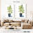 Harnek Fruit Tree II-108484945