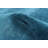 Kashkuli Gabbeh  Blue Rug 4'1" x 6'0"