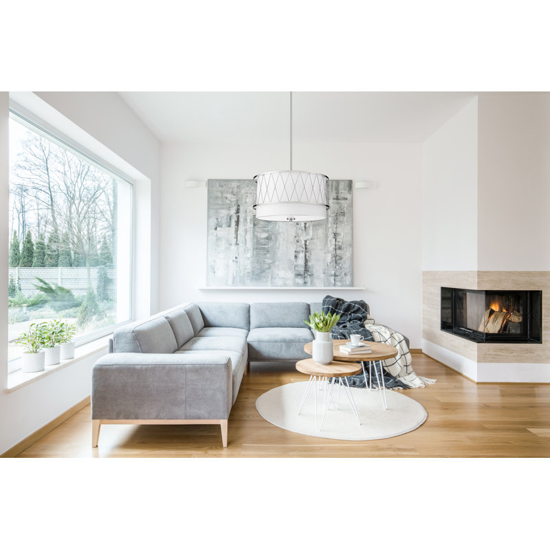 4 - Light Single Pendant, Brushed Nickel