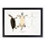 Kachuga Terrapin Illustrations by John Edward Gray - Picture Frame Graphic Art Print-55609849-55609846