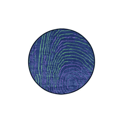 Machine Washable Blue Area Rug