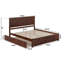  Lit plateforme en bois massif Nantucket avec pied et gigogne assortis-96140372-120233682