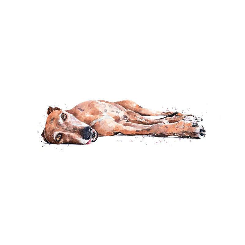 Greyhound - Wrapped Canvas Panoramic Painting