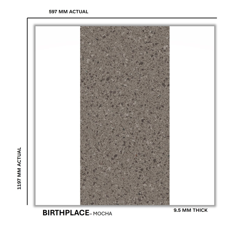 Birthplace 24" W x 48" L Porcelain Terrazzo Look Singular Tile, Mocha