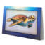 Décoration murale tortue-596007966