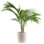 Costa Farms Indoor Easy Care Majesty Palm House Plant in 10-inch Décor Pot