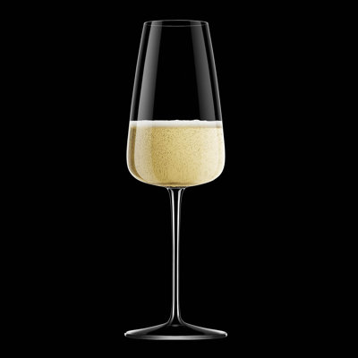 Talismano Prosecco / Champagne / Cava / Lambrusco / Sparkling Wine Glasses