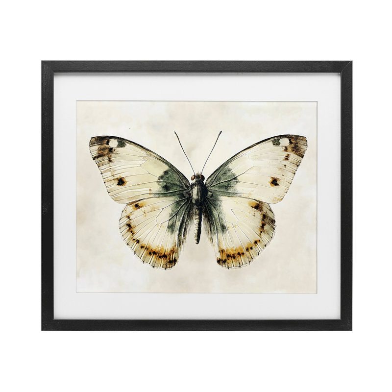 Moth Study Symmetry, impression encadrée sous verre, design by Creative Studio, Cadre noir minuit, H 17 po x l 21 po