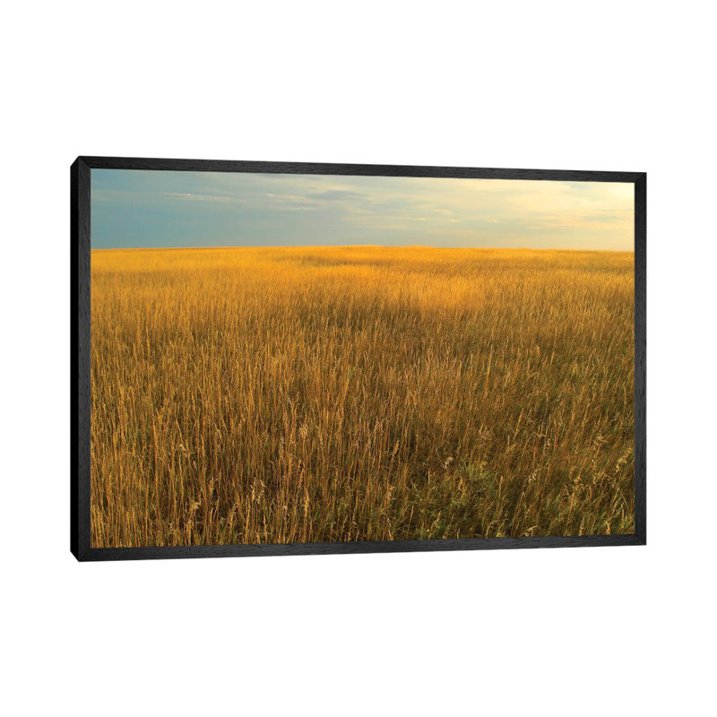 Upper Prairie In Badlands National Park, South Dakota by Tim Fitzharris - Floater Frame Gallery-Wrapped Canvas Giclée on Canvas