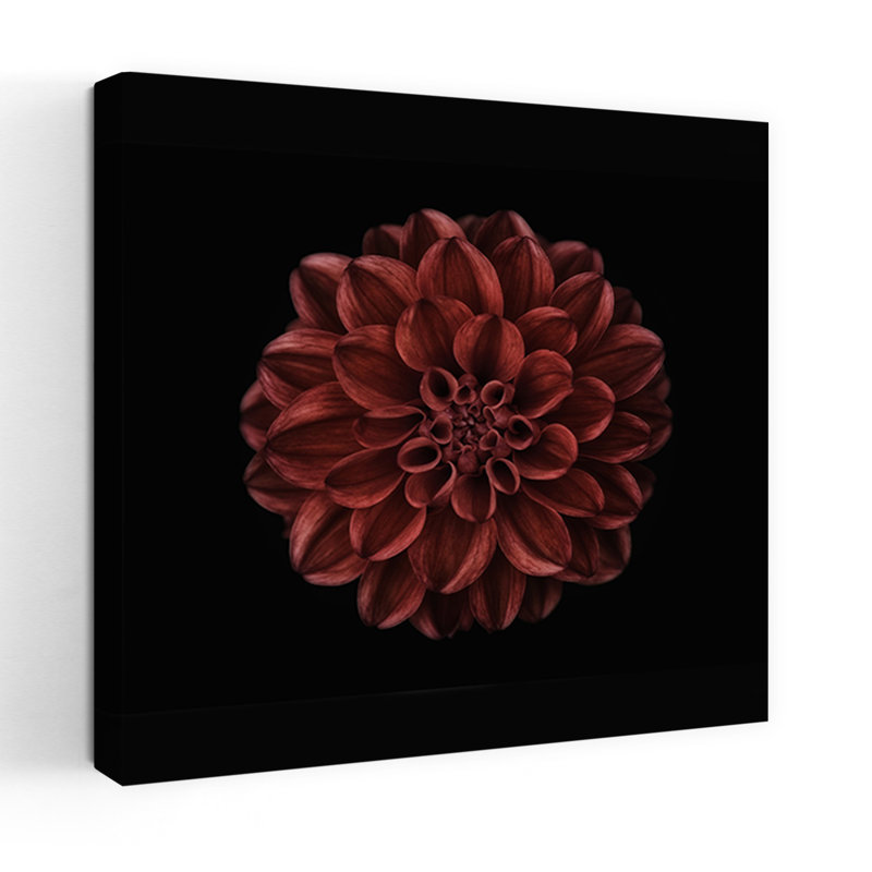 Art contemporain fleur de dahlia contemporain, H 18 po x l 18 po