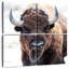 Bison d'Amérique - un trésor national-109086721