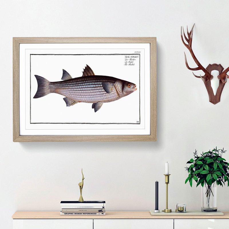 Mullet Fish by M.E. Bloch - Picture Frame Painting Print, Oak Framed, 27cm H x 36cm W x 2cm D