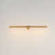 Demontrey Single Light Aluminum Dimmable LED Armed Sconce