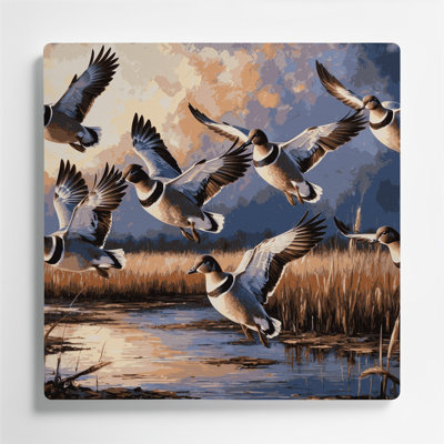 Oiseaux, art mural noir en métal Wigeon américain