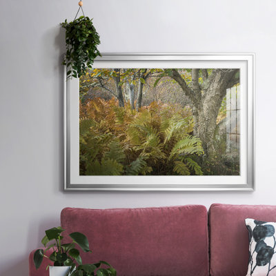 " Autumn Ferns "