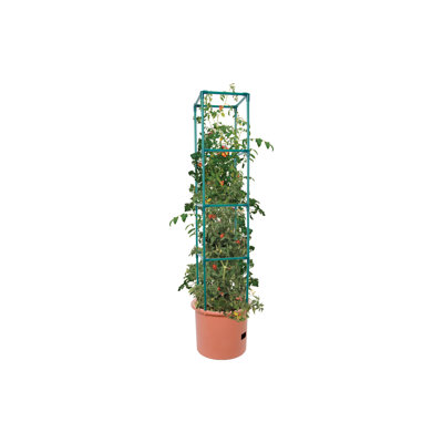 Pot Planter with Trellis