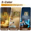  Lampe sur pied Arc