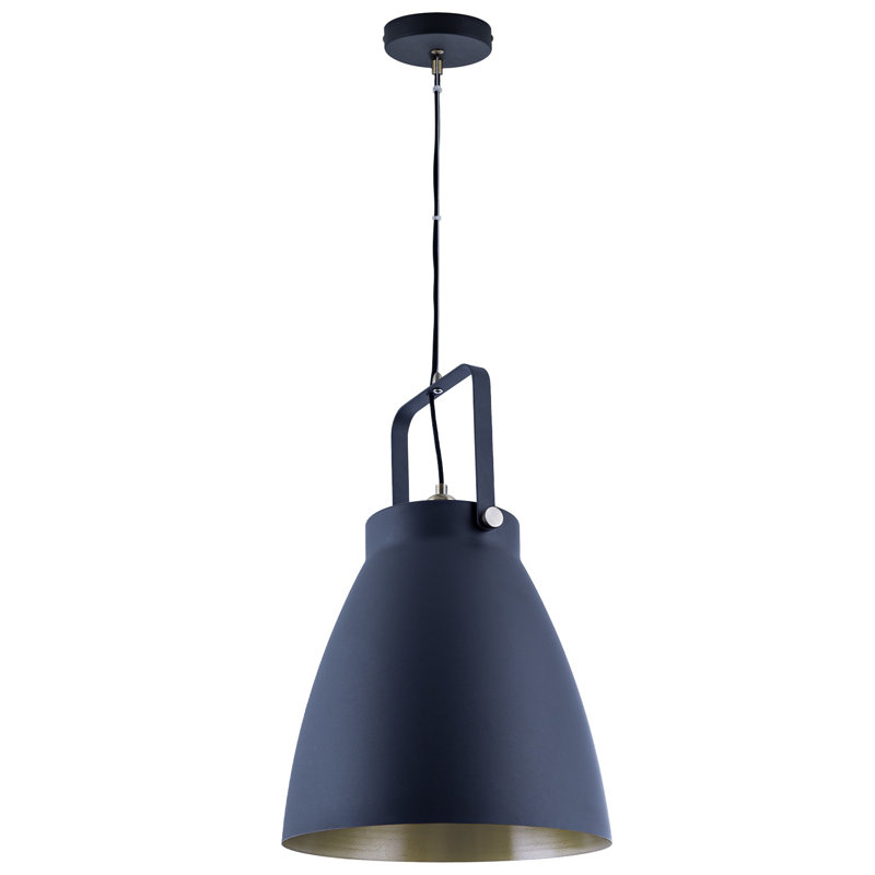 Iliana 1 - Light Single Pendant, Black/Bronze