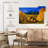 Alvord Autumnal Aspen Trees-107688744