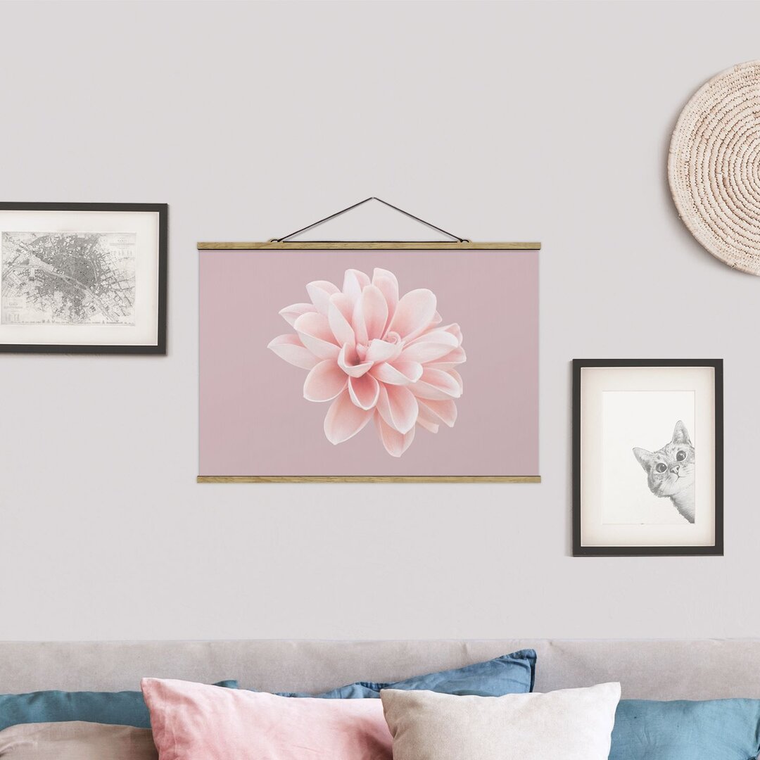 Poster Dahlia Flower Lavender Pink White